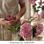 糖心免费版在线观看 02nlg